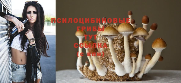 крисы Абдулино