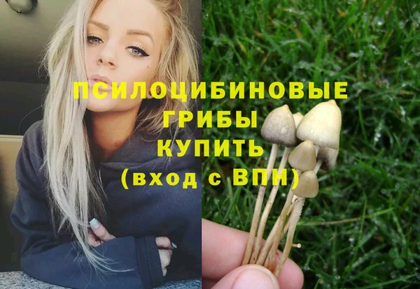 гашик Алзамай