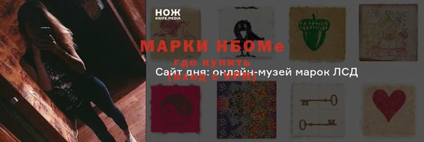 гашик Алзамай